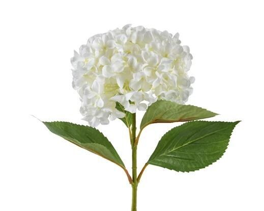 HORTENSIA BLANCHE SUR TIGE 67CM