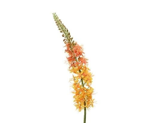 SETAIRE JAUNE SUR TIGE 96CM