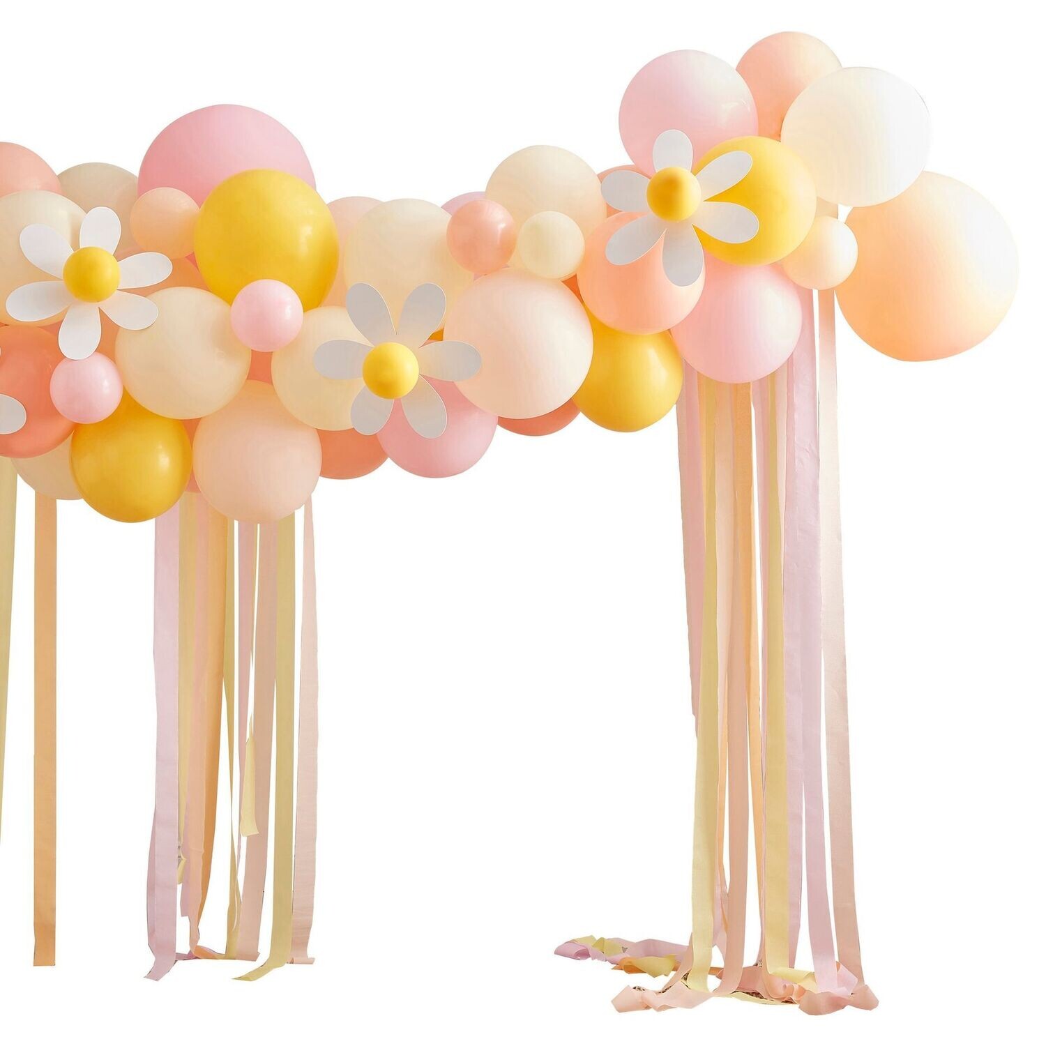 ARCHE DE 70 BALLONS PASTEL MARGUERITE + 40M DE RUBAN CREPON