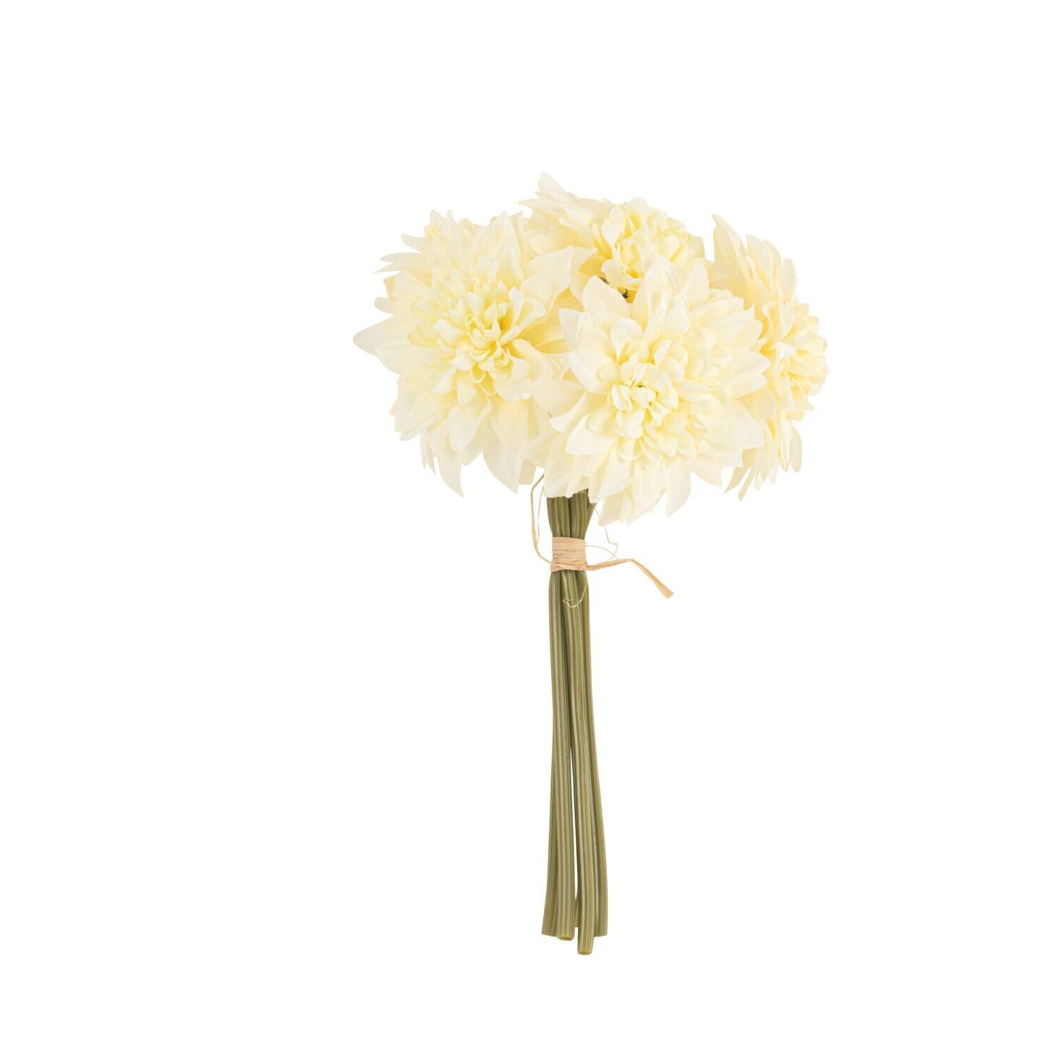 DAHLIA JAUNE PALE 27CM (x5)