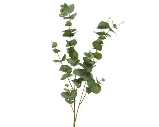 BRANCHE D'EUCALYPTUS SUR TIGE 98CM