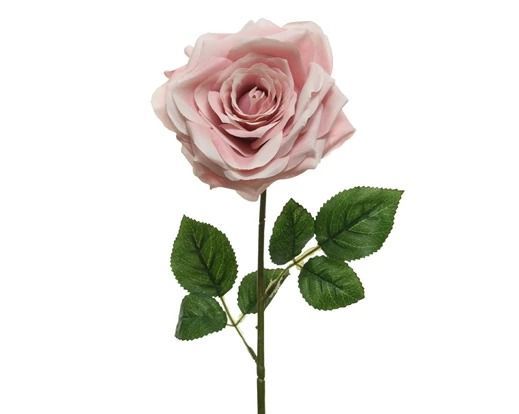 ROSE ROSE POUDRE SUR TIGE 53CM