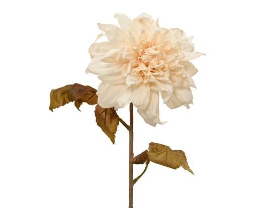 DAHLIA BLANC CASSE EFFET SECHE SUR TIGE CUIVRE 75CM