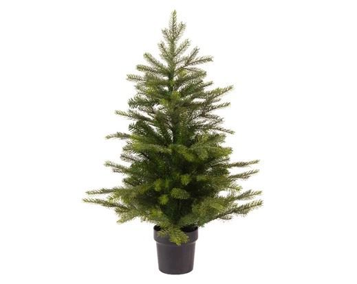 SAPIN GRANDIS 35X45CM