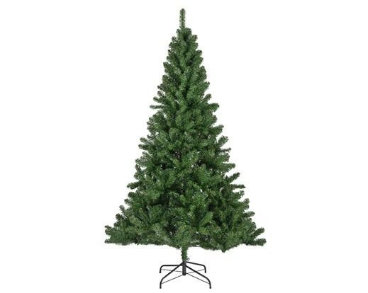 SAPIN MONARQUE 76CMx1.20M