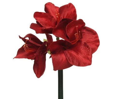 AMARYLLIS ROUGE SUR TIGE 60CM