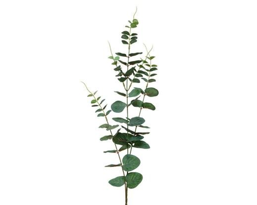 BRANCHE D'EUCALYPTUS 78CM