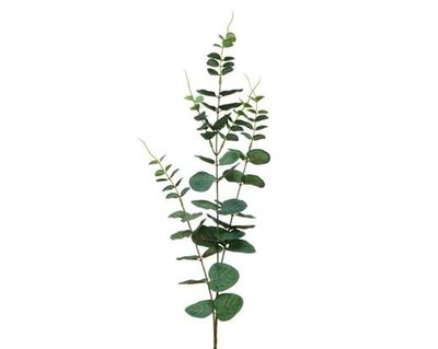 BRANCHE D'EUCALYPTUS 78CM