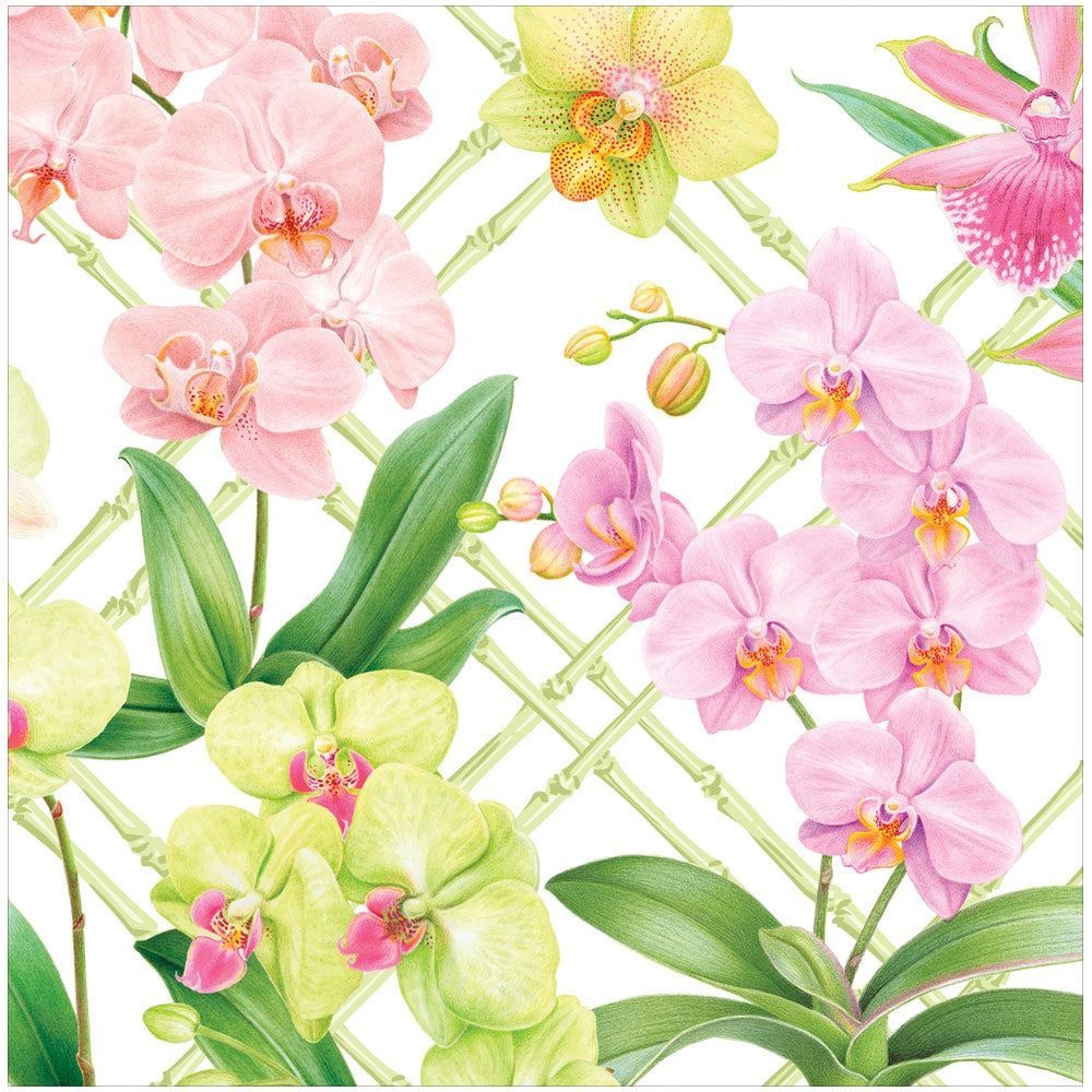 SERVIETTE JARDIN D'ORCHIDEES 38CM (x20)