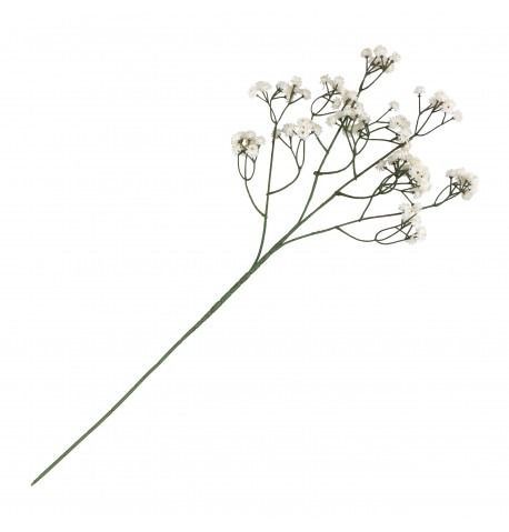GYPSOPHILE CREME 60CM