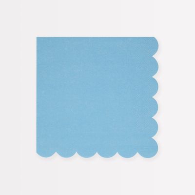 SERVIETTE BLEUET BORD BISCUIT 33CM (x16)