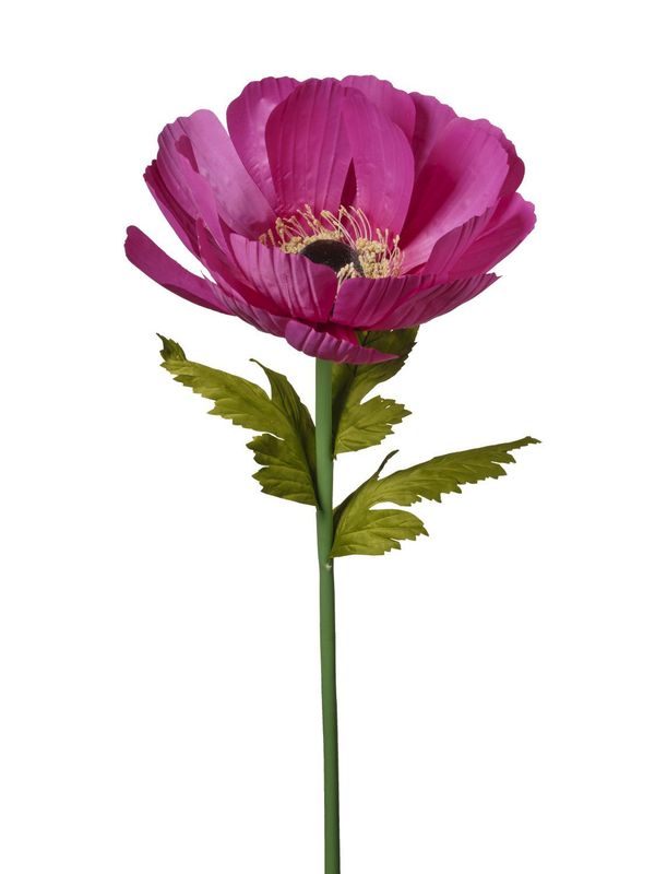 ANEMONE GEANTE FUSHIA 128CM