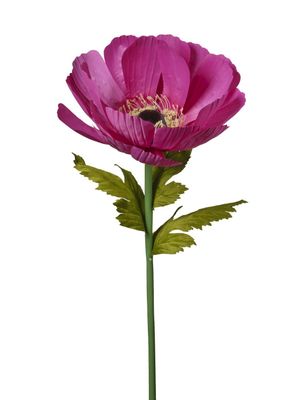 ANEMONE GEANTE FUSHIA 128CM