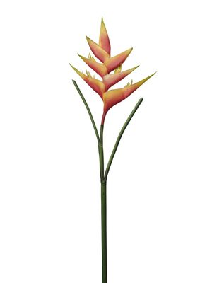 HELICONIA ORANGE 87CM