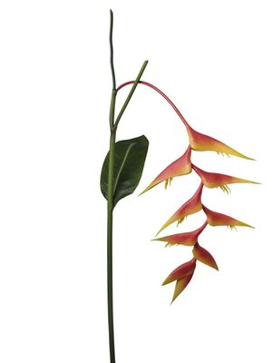 HELICONIA ORANGE 94CM