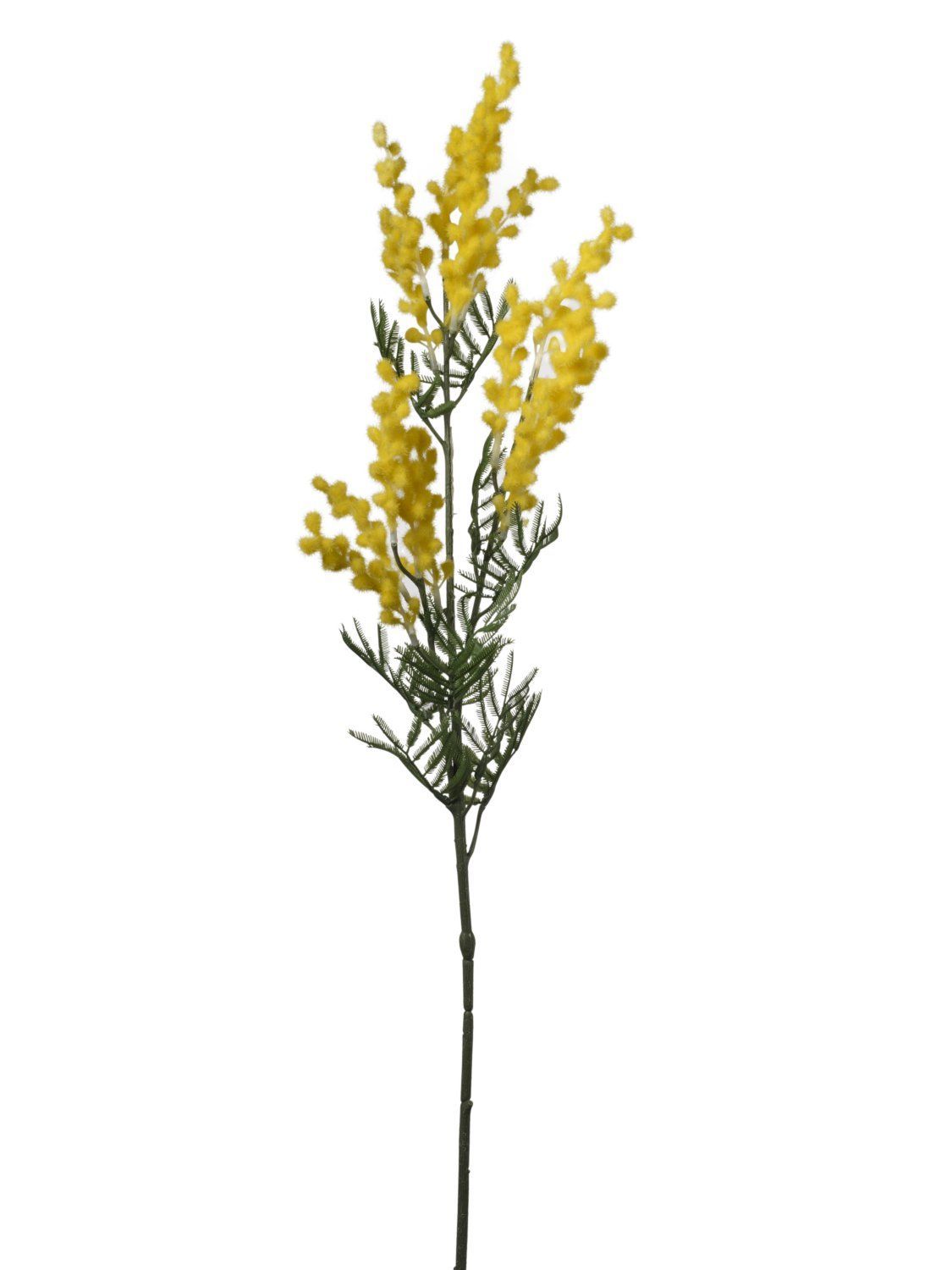 MIMOSA JAUNE 85CM