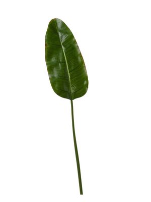 FEUILLE DE BANANIER 96.5CM