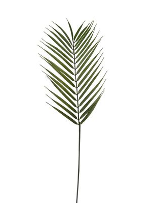 FEUILLE DE PALMIER