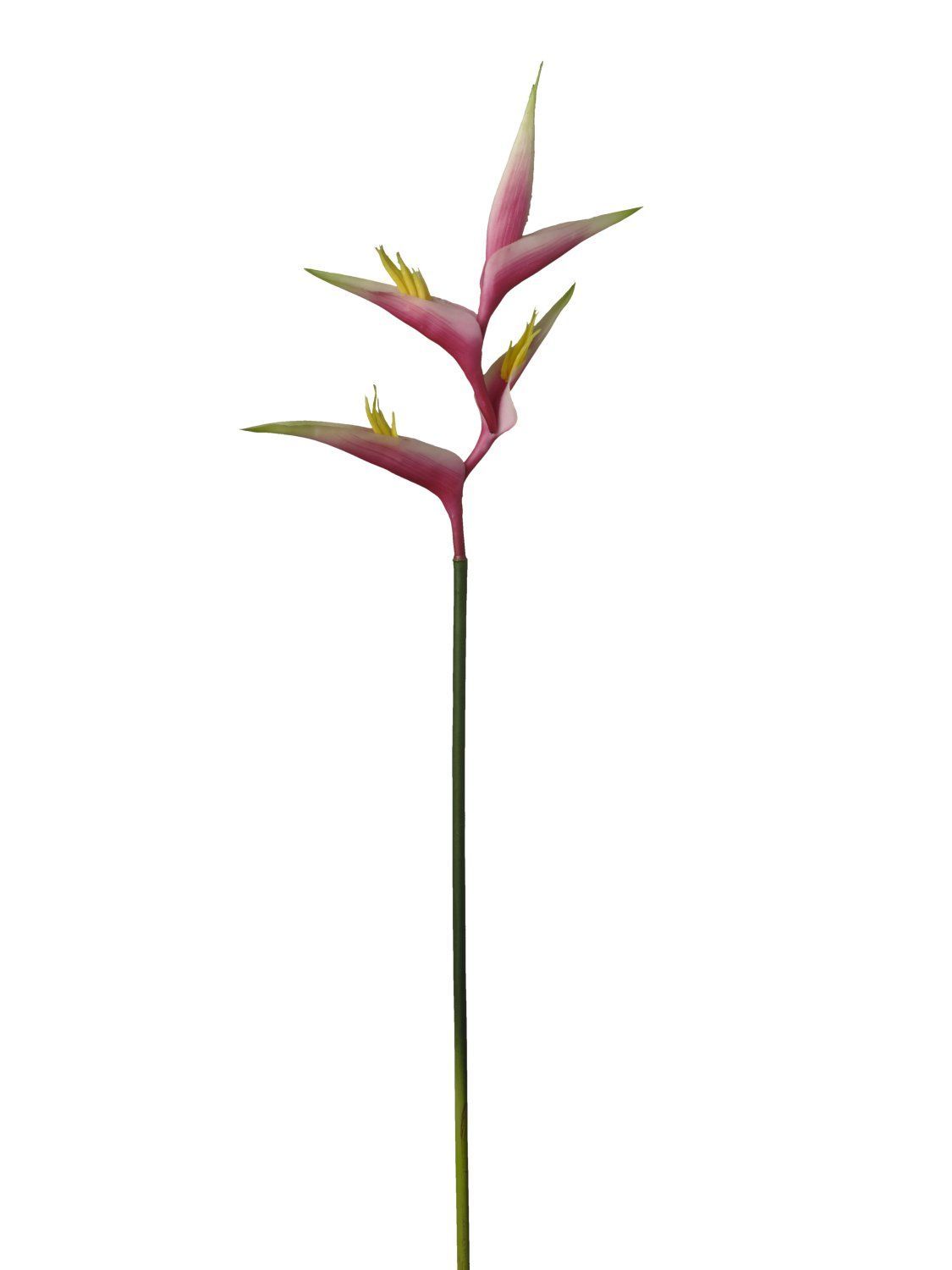 HELICONIA OUVERTE ROSE 87CM