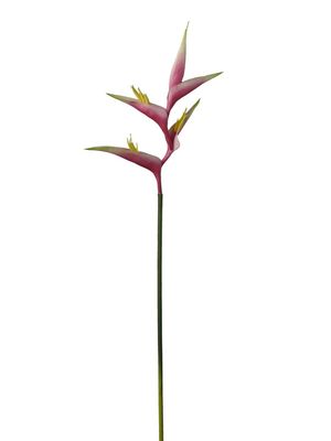 HELICONIA OUVERTE ROSE 87CM