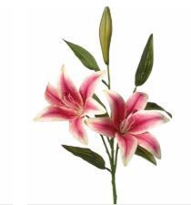 LYS ROSE 73CM