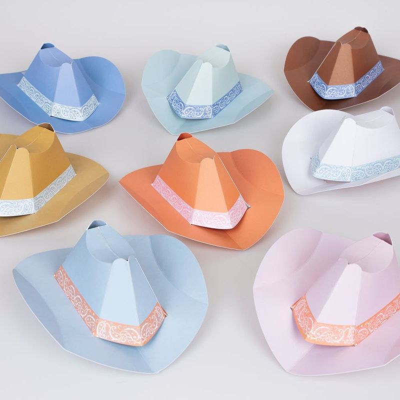 CHAPEAUX COWBOY (8)