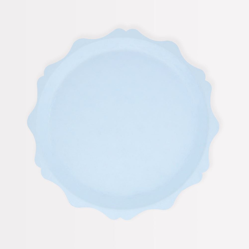 ASSIETTES BLEUES BORDEES DE POINTS COMPOSTABLES 22CM (8)