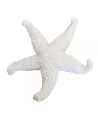 ETOILE DE MER BLANCHE DECORATIVE 24X24X5CM