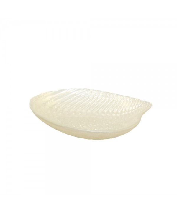 COUPELLE COQUILLAGE BLANCHE PERLE 14X13X2.5CM