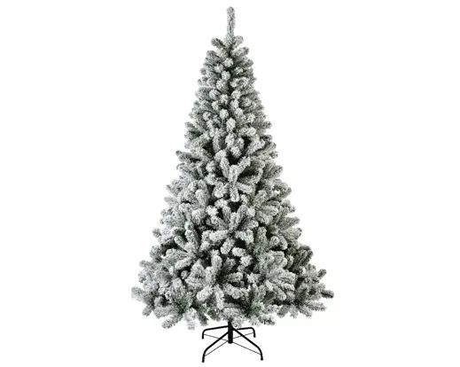SAPIN MONARCHE ENNEIGE 126CMX2.10M