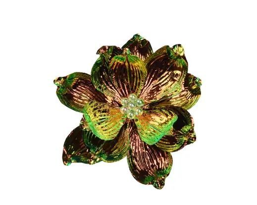 MAGNOLIA IRISE SUR CLIP