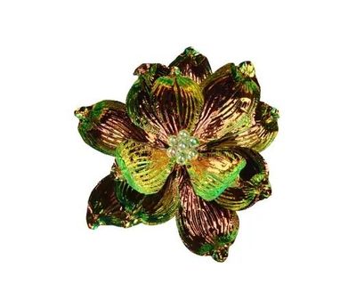 MAGNOLIA IRISE SUR CLIP