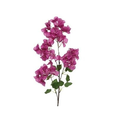 BRANCHE DE BOUGAINVILLIER VIOLET 1M