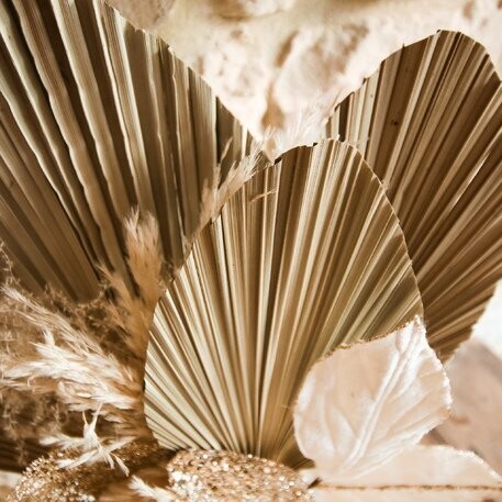 FEUILLE DE PALME SECHEE EVENTAIL NATURELLES ENV. 60x15CM