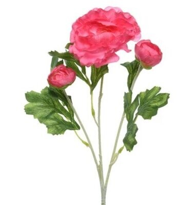 RENONCULE ROSE SUR TIGE 50CM