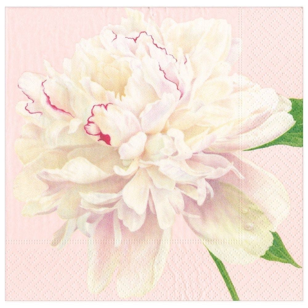 SERVIETTE DUCHESS PEONIES 38CM (x20)