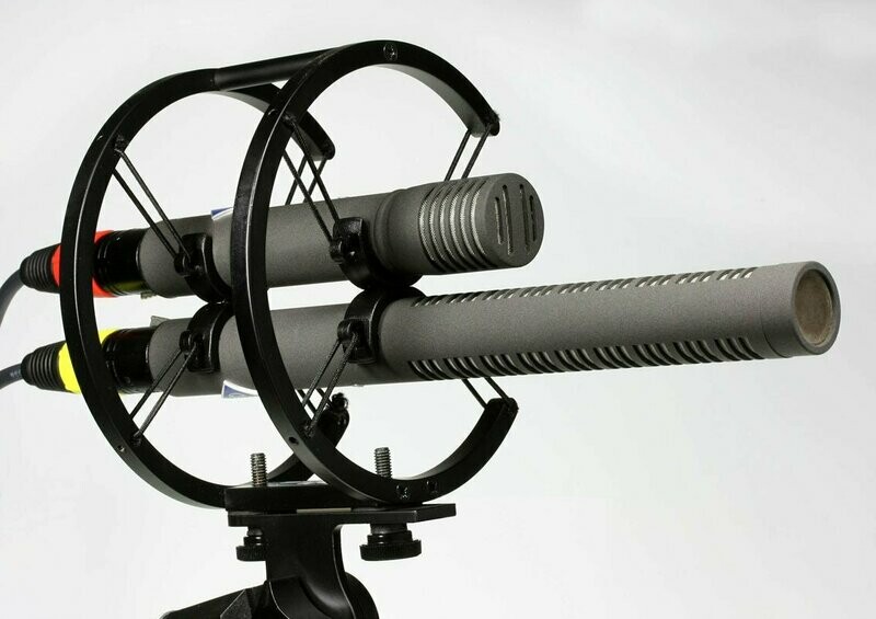 NEUMANN KMR 81 D