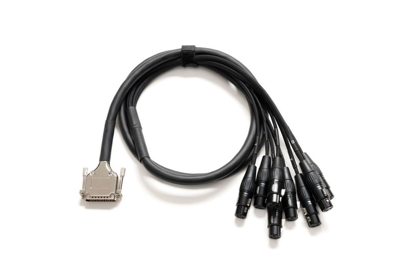 WARM AUDIO Prem-DB25-XLRf-20'