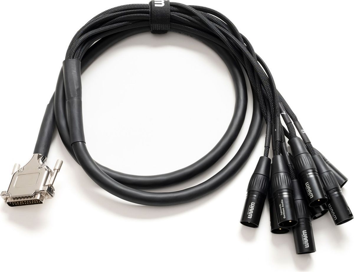 WARM AUDIO Prem-DB25-XLRm-10'