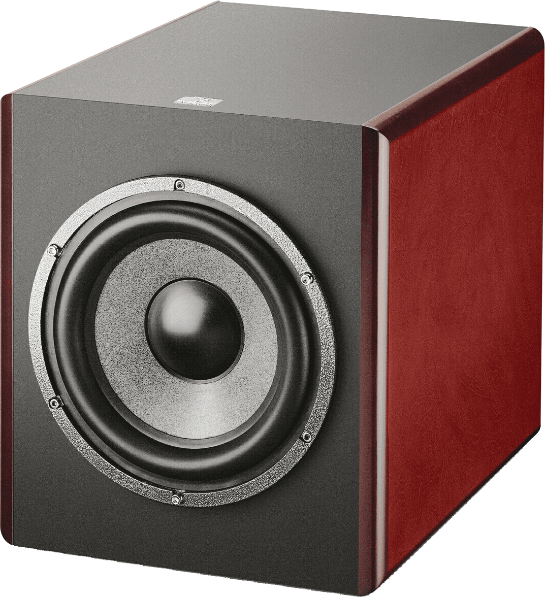 FOCAL SUB 6  Red Burr Ash