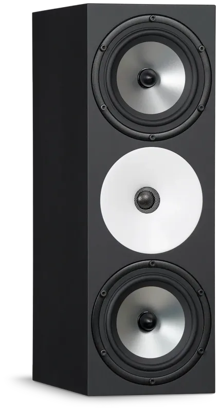 Amphion  Two18X PAIRE