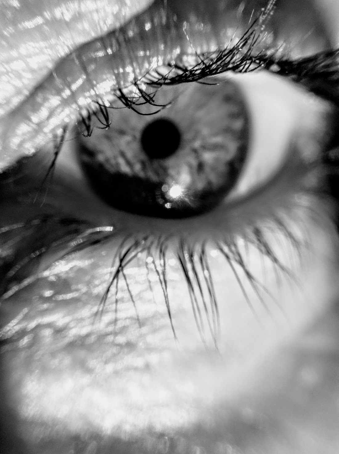 LA MIRADA EN BN