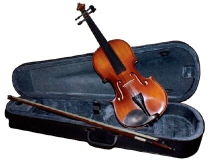 VIOLIN CARLO GIORDANO VS15 1/2