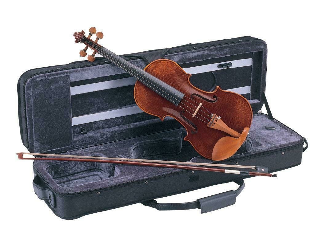 VIOLIN CARLO GIORDANO VS2 4/4