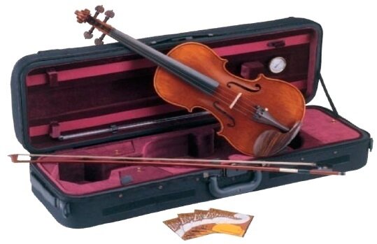 VIOLIN CARLO GIORDANO VS4 4/4