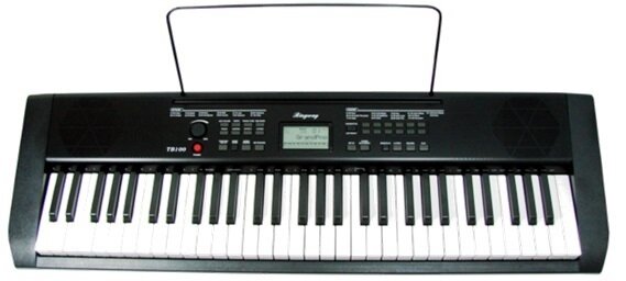 TECLADO RINGWAY TB100