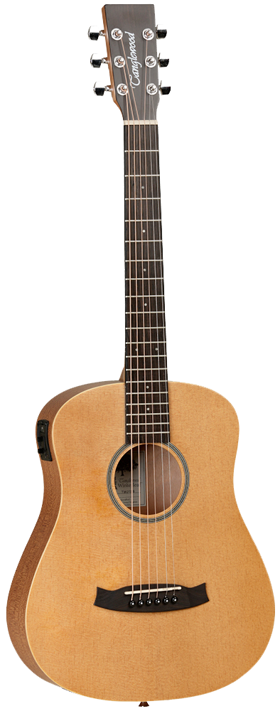 GUITARRA ACUSTICA TANGLEWOOD TW2TSE DE VIAJE