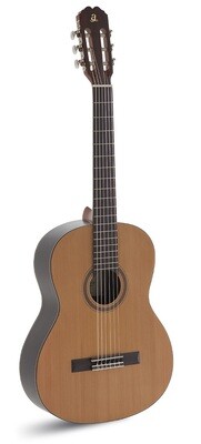 GUITARRA ADMIRA IRENE CONSERVATORIO GUITARRA ADMIRA IRENE CONSERVATORIO