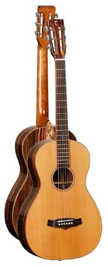 GUITARRA ACUSTICA TANGLEWOOD TWJPE PARLOUR GUITARRA ACUSTICA TANGLEWOOD TWJPE PARLOUR