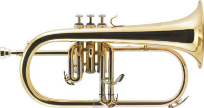 Fliscorno "J.MICHAEL" FG500 SIb